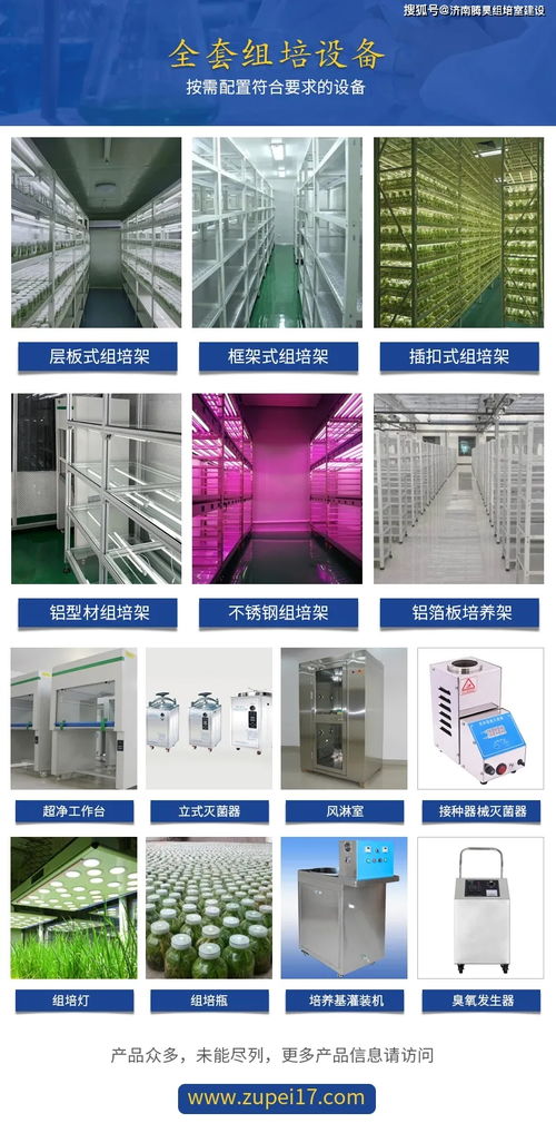 植物光源LED燈與熒光燈 技術特點與推廣策略